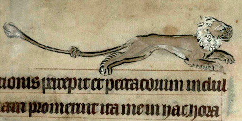 A lion drawn in the margin of a medieval manuscript
