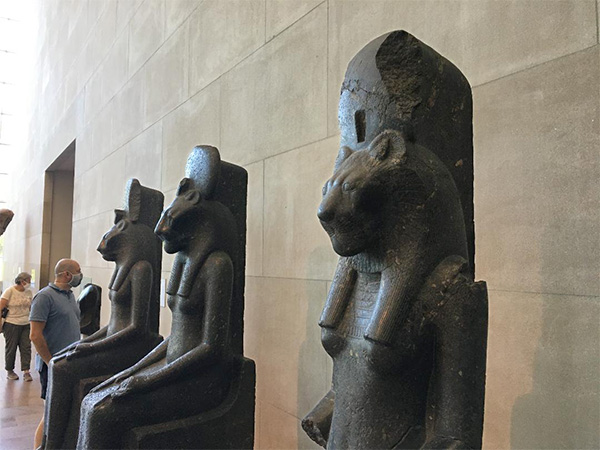 Felines at the Met in NYC